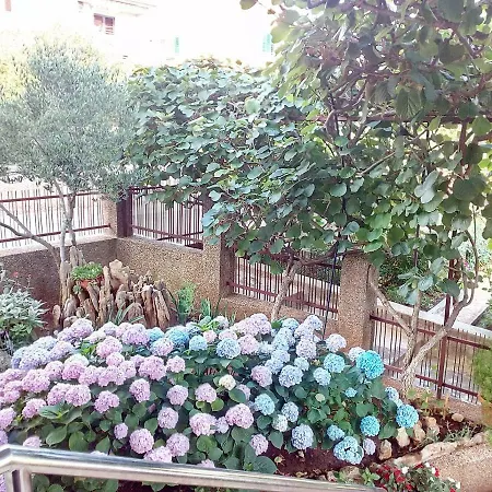 Bozena Apartamento Zadar